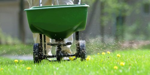Lawn Aeration & Overseeding, Lawn Care Program, Lawn Fertilization, Weed Control, Aeration