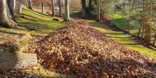 Leaf Removal, Leaf Clean Up, Spring Clean Up, Fall Clean Up